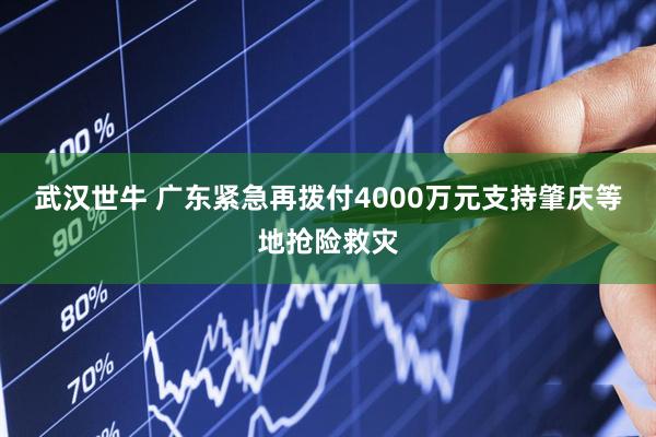武汉世牛 广东紧急再拨付4000万元支持肇庆等地抢险救灾