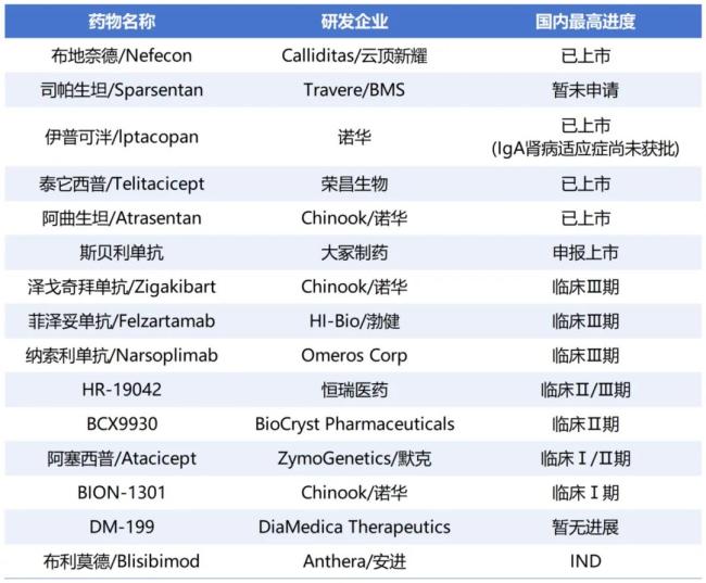 全球及国内IgA肾病管线（部分）